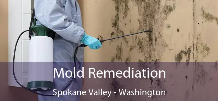 Mold Remediation Spokane Valley - Washington