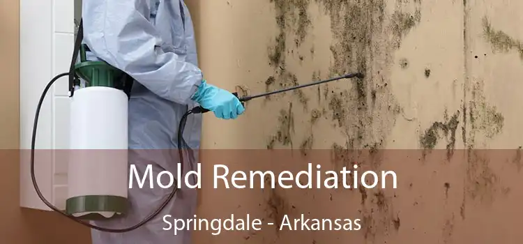 Mold Remediation Springdale - Arkansas