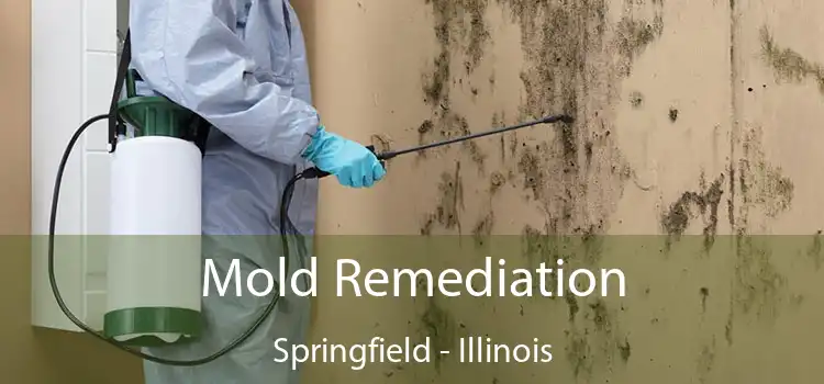 Mold Remediation Springfield - Illinois