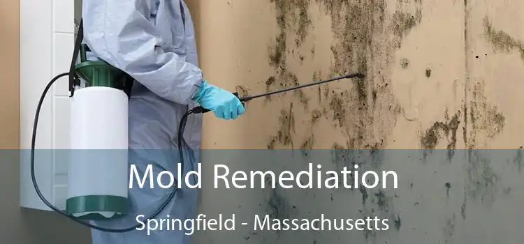 Mold Remediation Springfield - Massachusetts