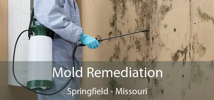 Mold Remediation Springfield - Missouri