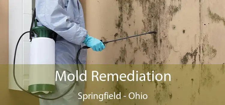 Mold Remediation Springfield - Ohio