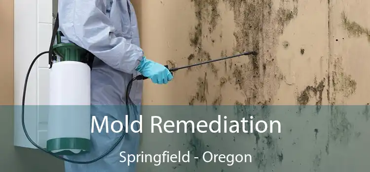 Mold Remediation Springfield - Oregon