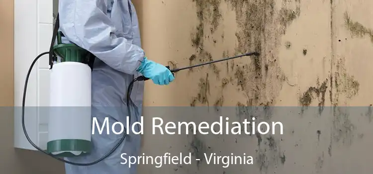 Mold Remediation Springfield - Virginia