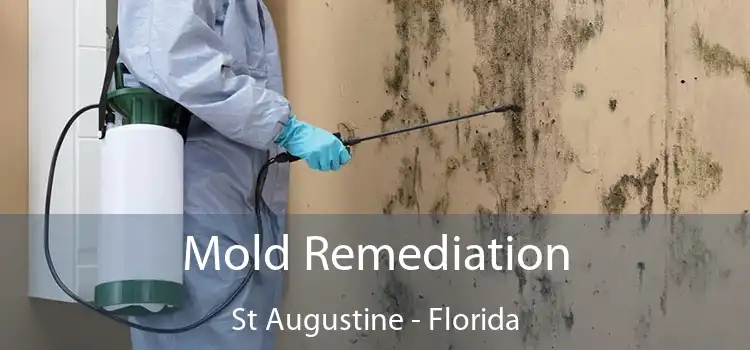 Mold Remediation St Augustine - Florida