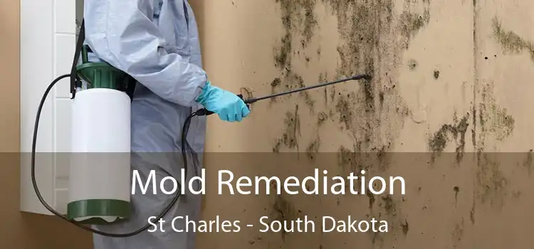 Mold Remediation St Charles - South Dakota