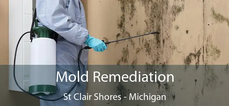 Mold Remediation St Clair Shores - Michigan