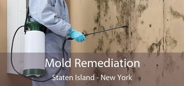 Mold Remediation Staten Island - New York