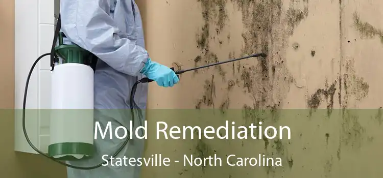 Mold Remediation Statesville - North Carolina