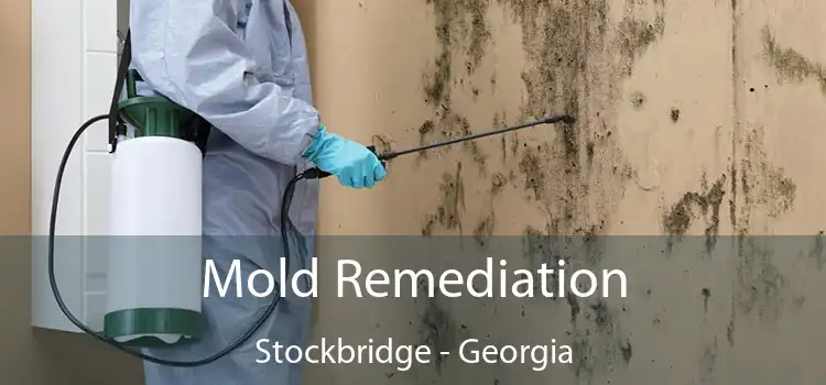 Mold Remediation Stockbridge - Georgia