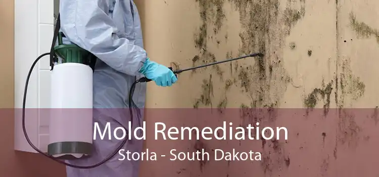 Mold Remediation Storla - South Dakota