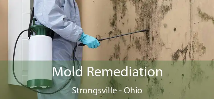 Mold Remediation Strongsville - Ohio