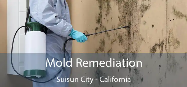 Mold Remediation Suisun City - California