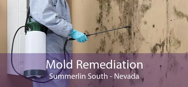 Mold Remediation Summerlin South - Nevada