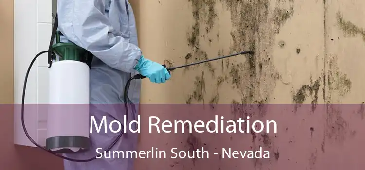 Mold Remediation Summerlin South - Nevada