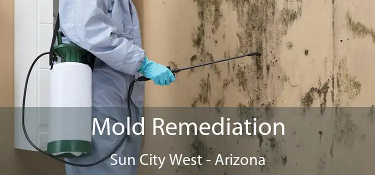 Mold Remediation Sun City West - Arizona