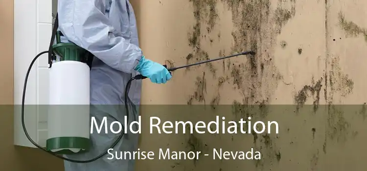 Mold Remediation Sunrise Manor - Nevada