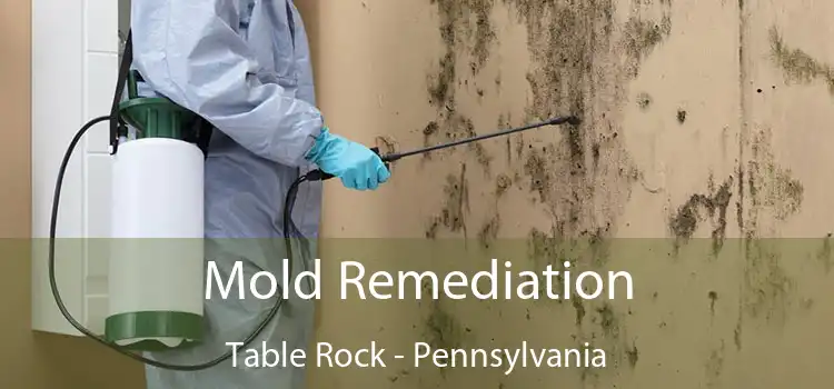 Mold Remediation Table Rock - Pennsylvania