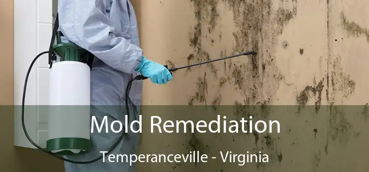 Mold Remediation Temperanceville - Virginia