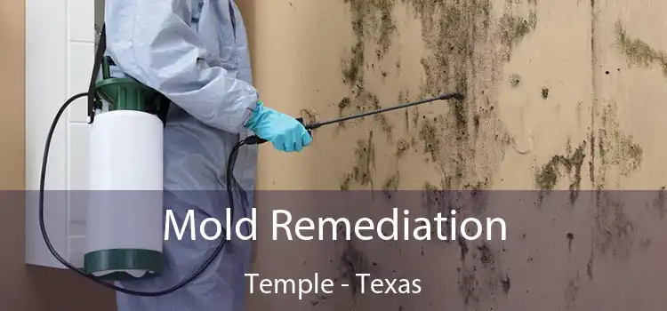 Mold Remediation Temple - Texas