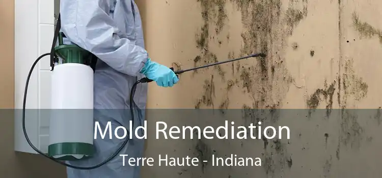 Mold Remediation Terre Haute - Indiana