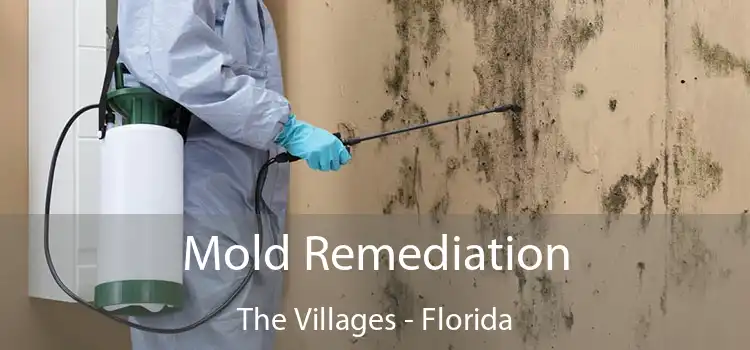 Mold Remediation The Villages - Florida