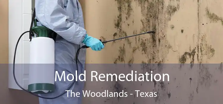 Mold Remediation The Woodlands - Texas