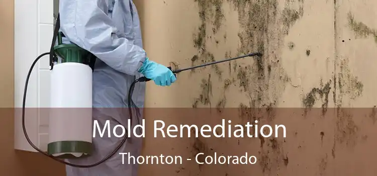 Mold Remediation Thornton - Colorado