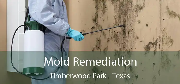 Mold Remediation Timberwood Park - Texas