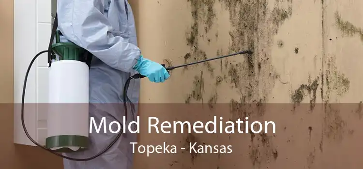Mold Remediation Topeka - Kansas