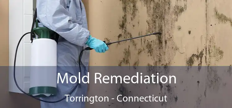 Mold Remediation Torrington - Connecticut