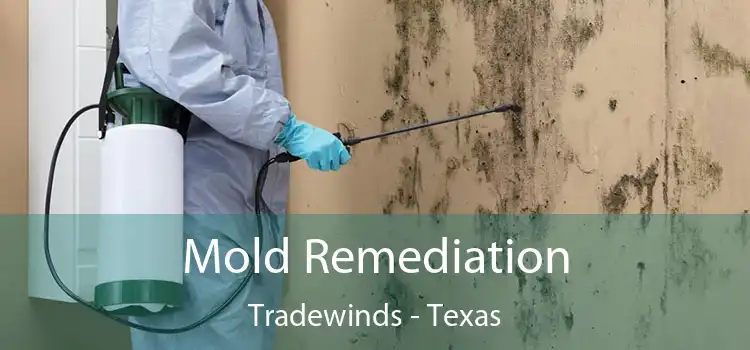 Mold Remediation Tradewinds - Texas