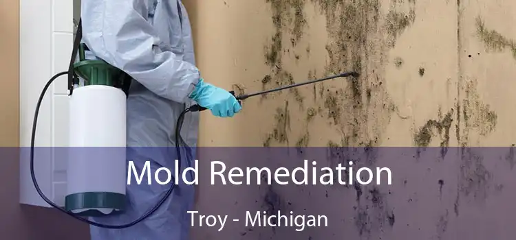 Mold Remediation Troy - Michigan