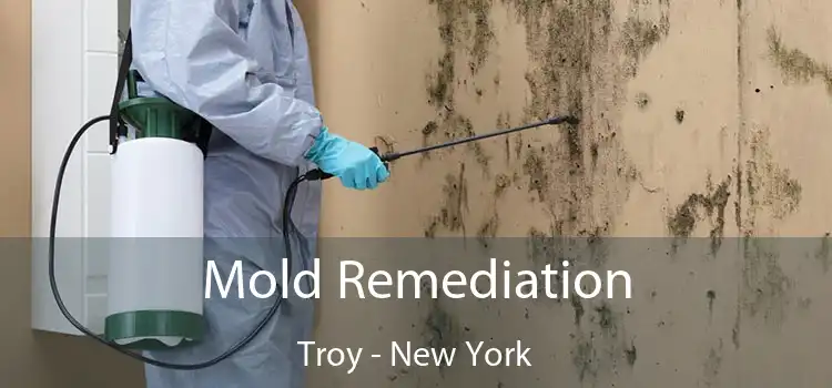 Mold Remediation Troy - New York