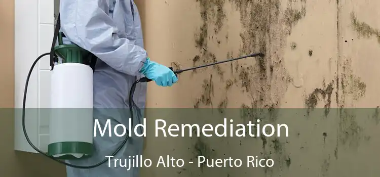 Mold Remediation Trujillo Alto - Puerto Rico