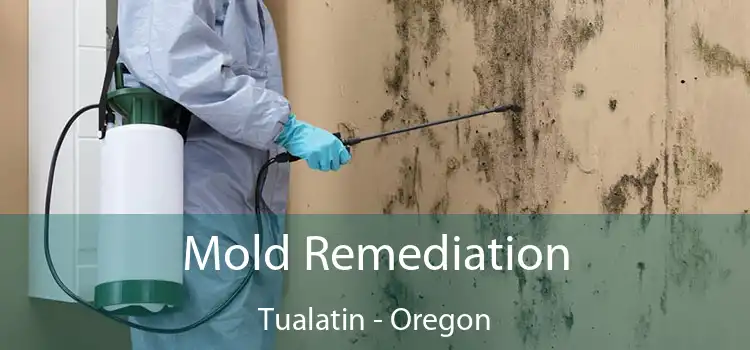 Mold Remediation Tualatin - Oregon