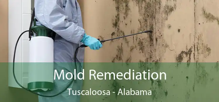 Mold Remediation Tuscaloosa - Alabama