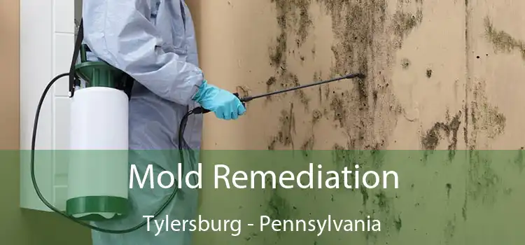 Mold Remediation Tylersburg - Pennsylvania