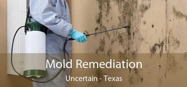 Mold Remediation Uncertain - Texas