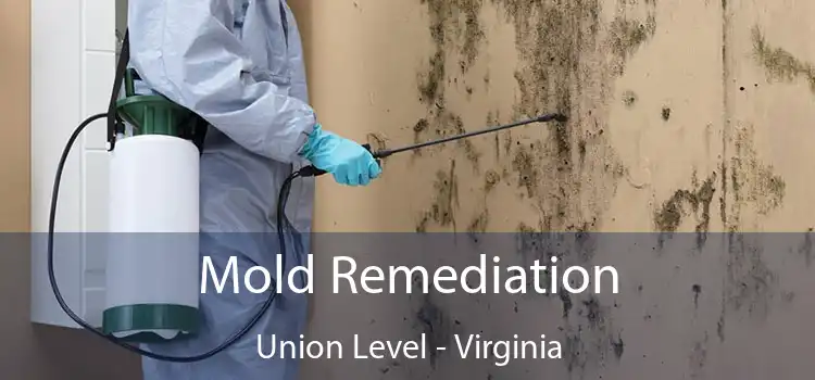 Mold Remediation Union Level - Virginia