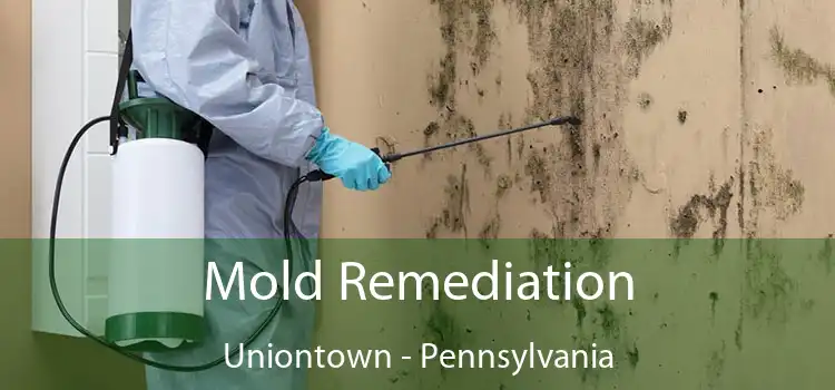 Mold Remediation Uniontown - Pennsylvania