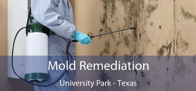 Mold Remediation University Park - Texas