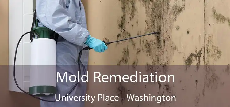 Mold Remediation University Place - Washington