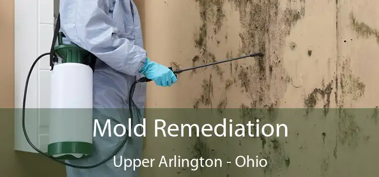 Mold Remediation Upper Arlington - Ohio