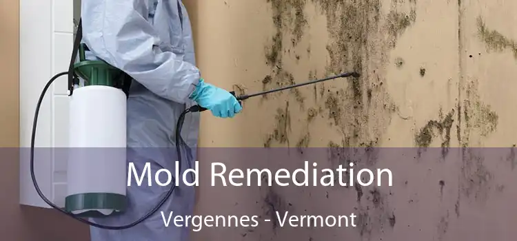Mold Remediation Vergennes - Vermont