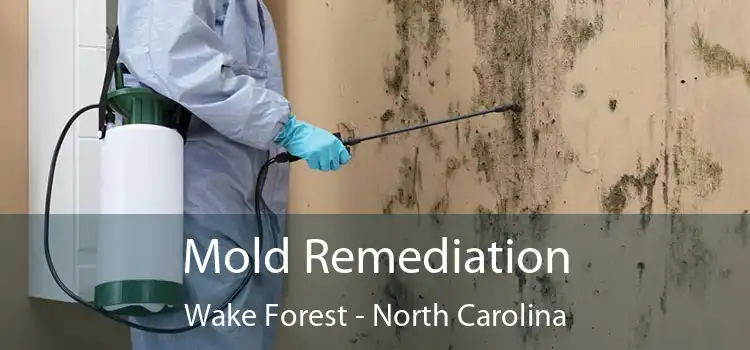 Mold Remediation Wake Forest - North Carolina