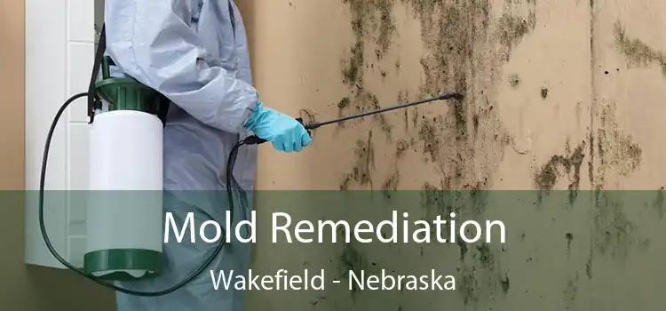 Mold Remediation Wakefield - Nebraska