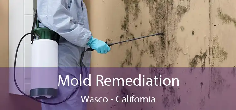 Mold Remediation Wasco - California