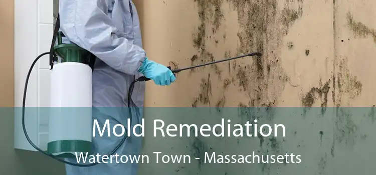 Mold Remediation Watertown Town - Massachusetts