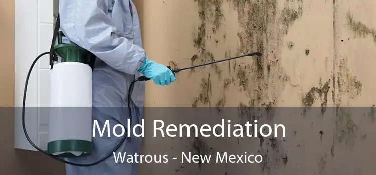 Mold Remediation Watrous - New Mexico